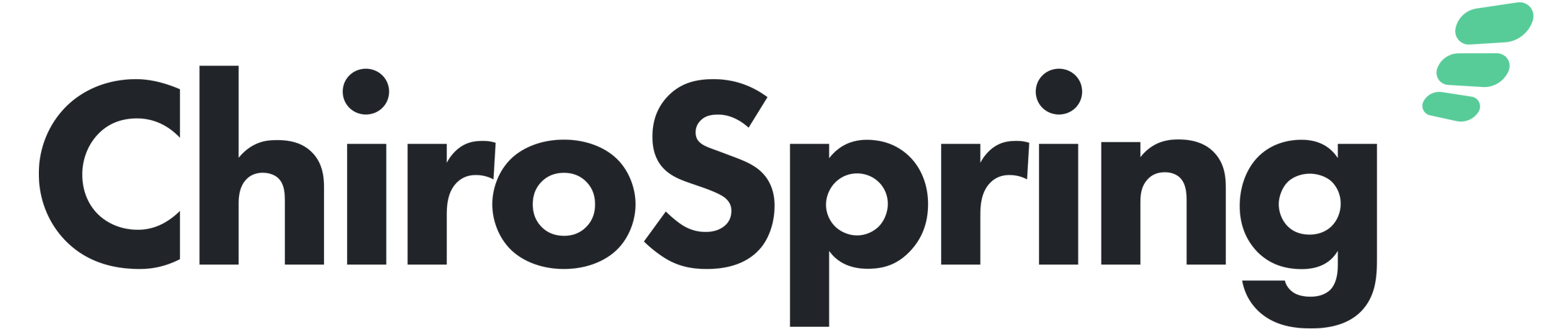 ChiroSpring logo