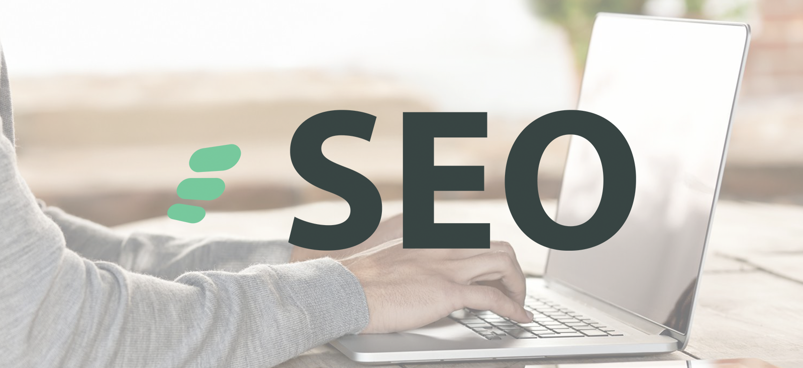 CHIROSPRING SEO - Banner For Software CHIROSPRING SEO - Banner For Software
